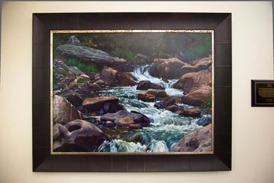 Emergence Doug Braithwaite