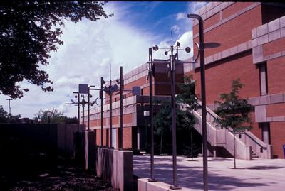 Winter Flowers Darl Thomas