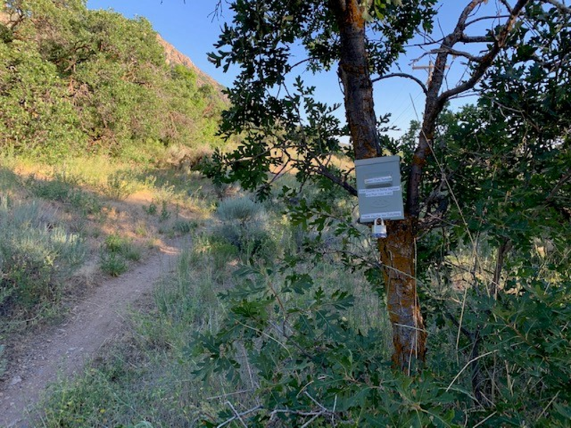 BST Alternate near 22nd Trailhead