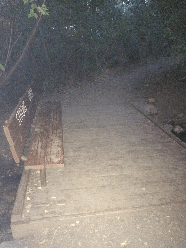 Lower Gibs Bridge - Bikes