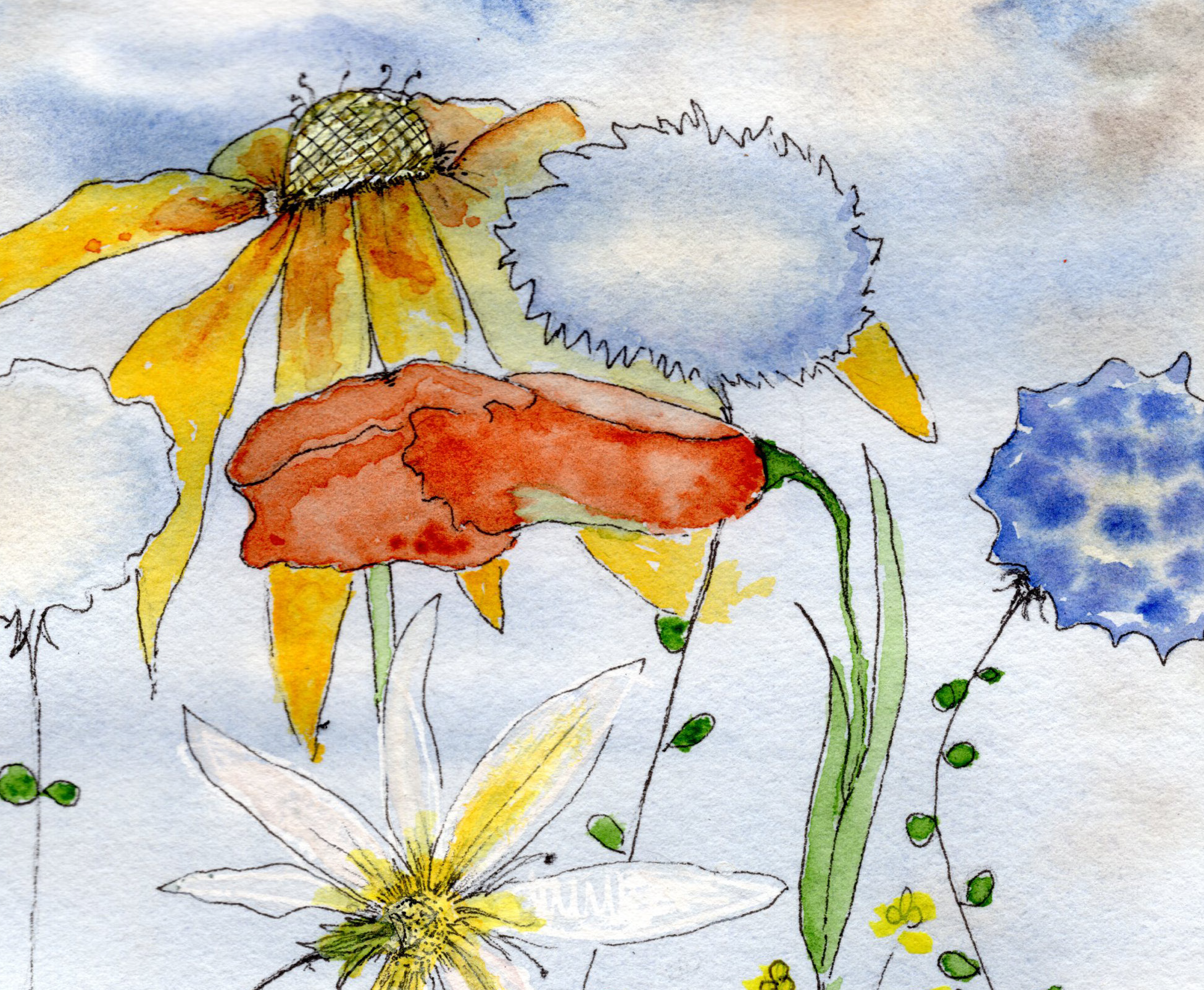 Ogden Nature Center Watercolor