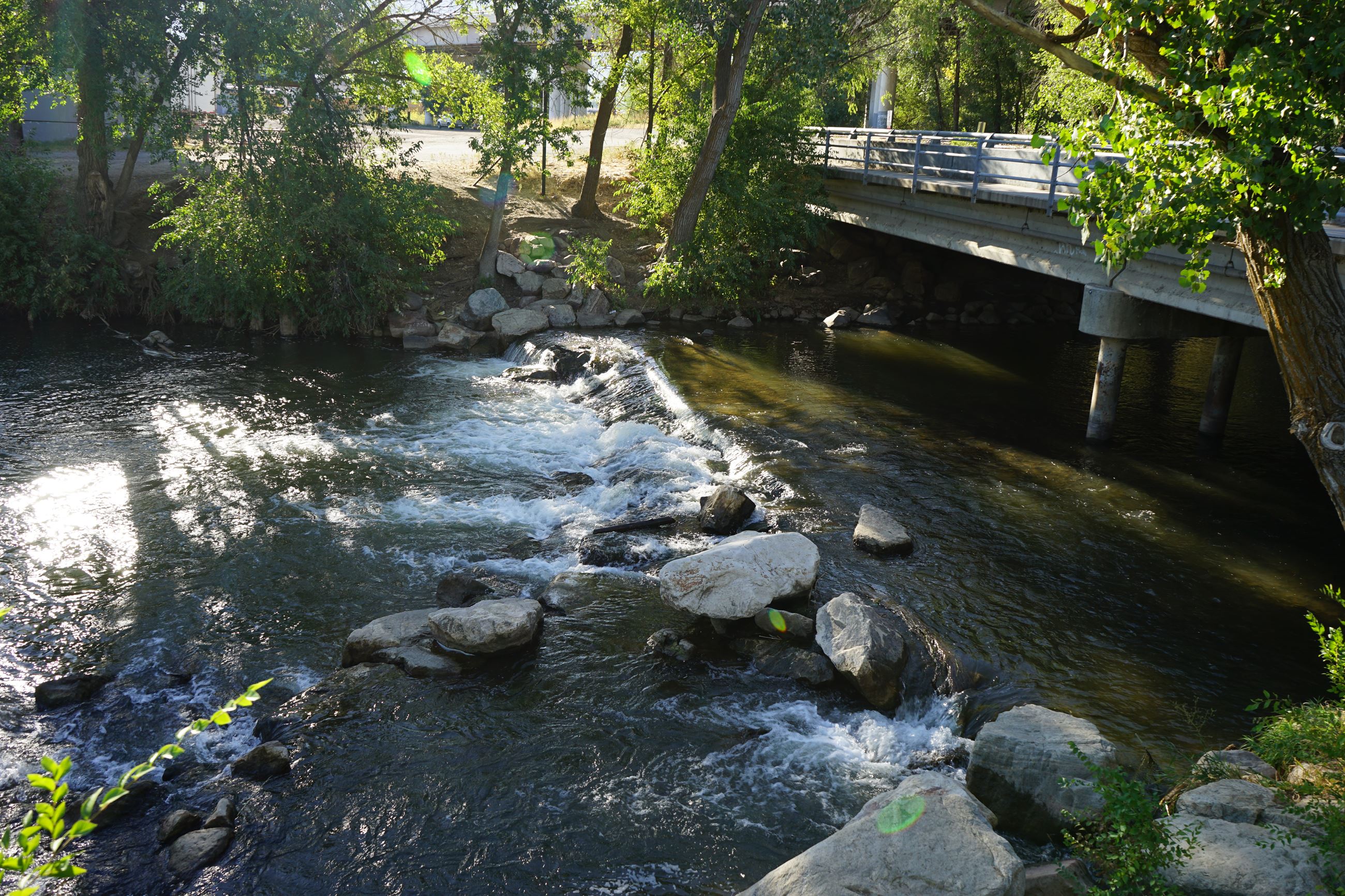 A river with rocks in it surrounded by trees